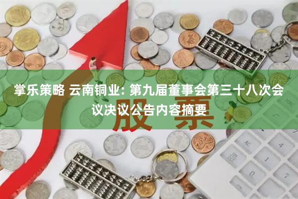 掌乐策略 云南铜业: 第九届董事会第三十八次会议决议公告内容摘要