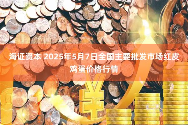 海证资本 2025年5月7日全国主要批发市场红皮鸡蛋价格行情