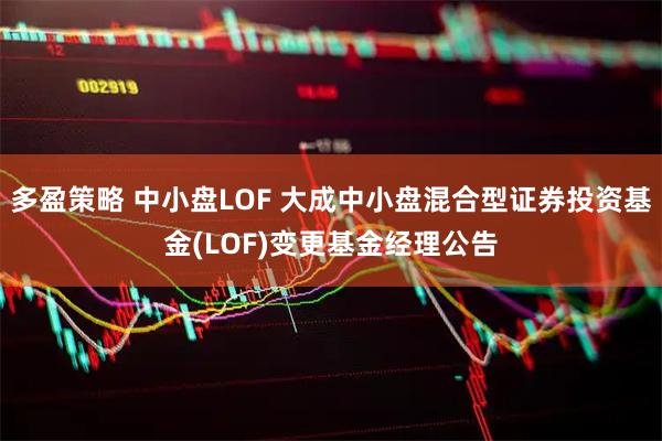 多盈策略 中小盘LOF 大成中小盘混合型证券投资基金(LOF)变更基金经理公告