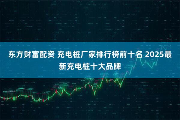 东方财富配资 充电桩厂家排行榜前十名 2025最新充电桩十大品牌
