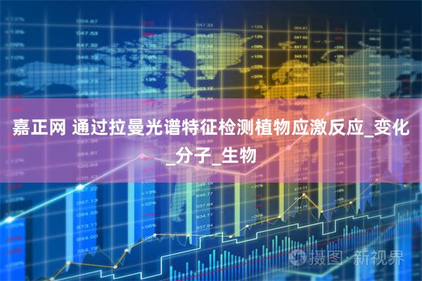 嘉正网 通过拉曼光谱特征检测植物应激反应_变化_分子_生物